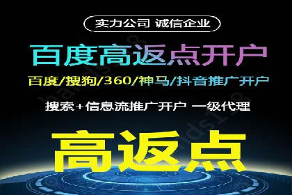 SEM公司案例研究：数据驱动营销策略